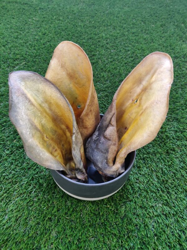 Image of natural buffalo ears by Go For Raw